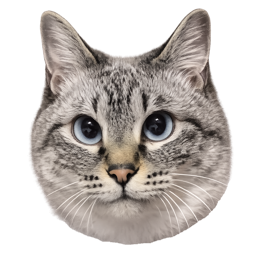 猫社員アズミ