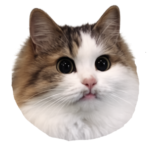 猫社員タエコ