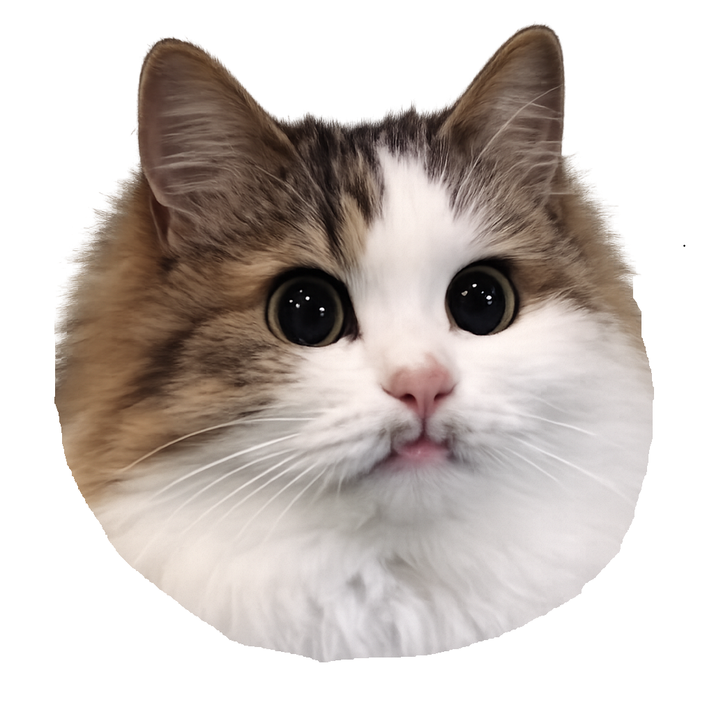 猫社員タエコ
